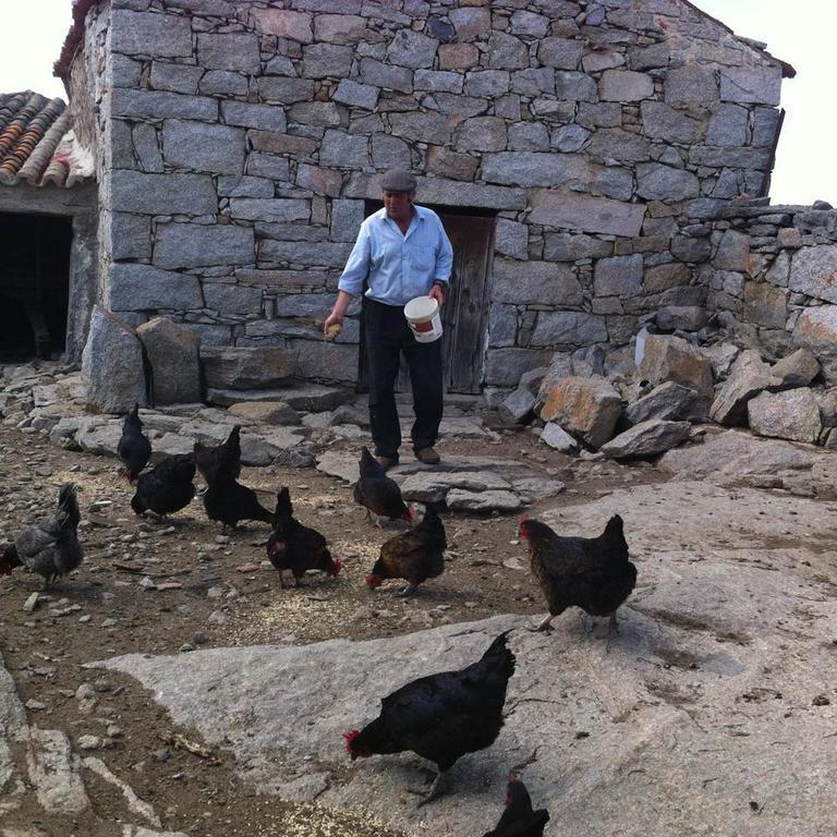 Casa Rural El Linaje De Los Cinco Sombreros Gallegos De San Vicente ภายนอก รูปภาพ